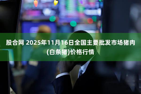 股合网 2025年11月16日全国主要批发市场猪肉(白条猪)价格行情